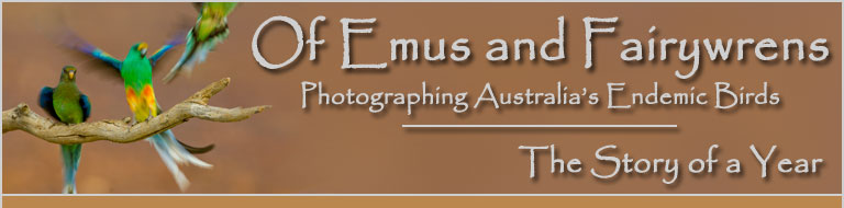 Of Emus and Fairywrens - Photographing Australia's Endemic Birds - The Story of a Year