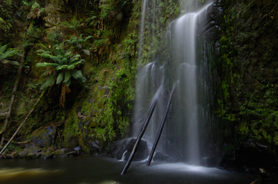 Beauchamp Falls – Great Otway National Park, Victoria