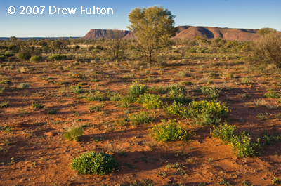 King's Canyon National Park, Northern Territory